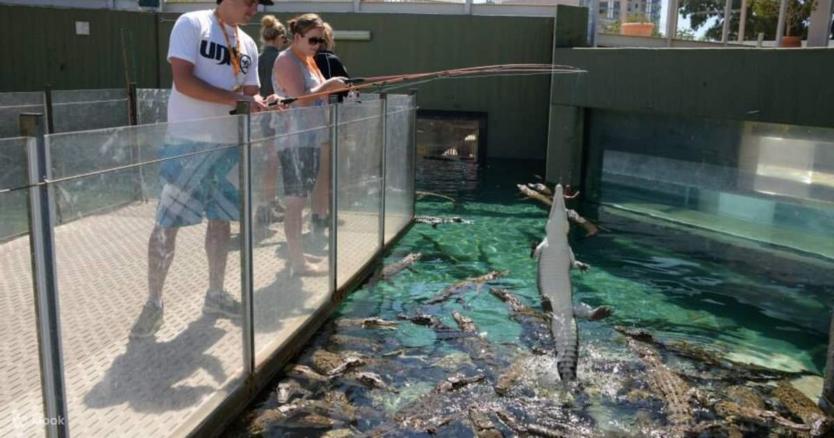 Crocosaurus cove discount online